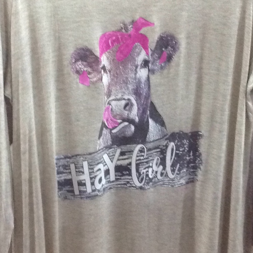 Hay Gal